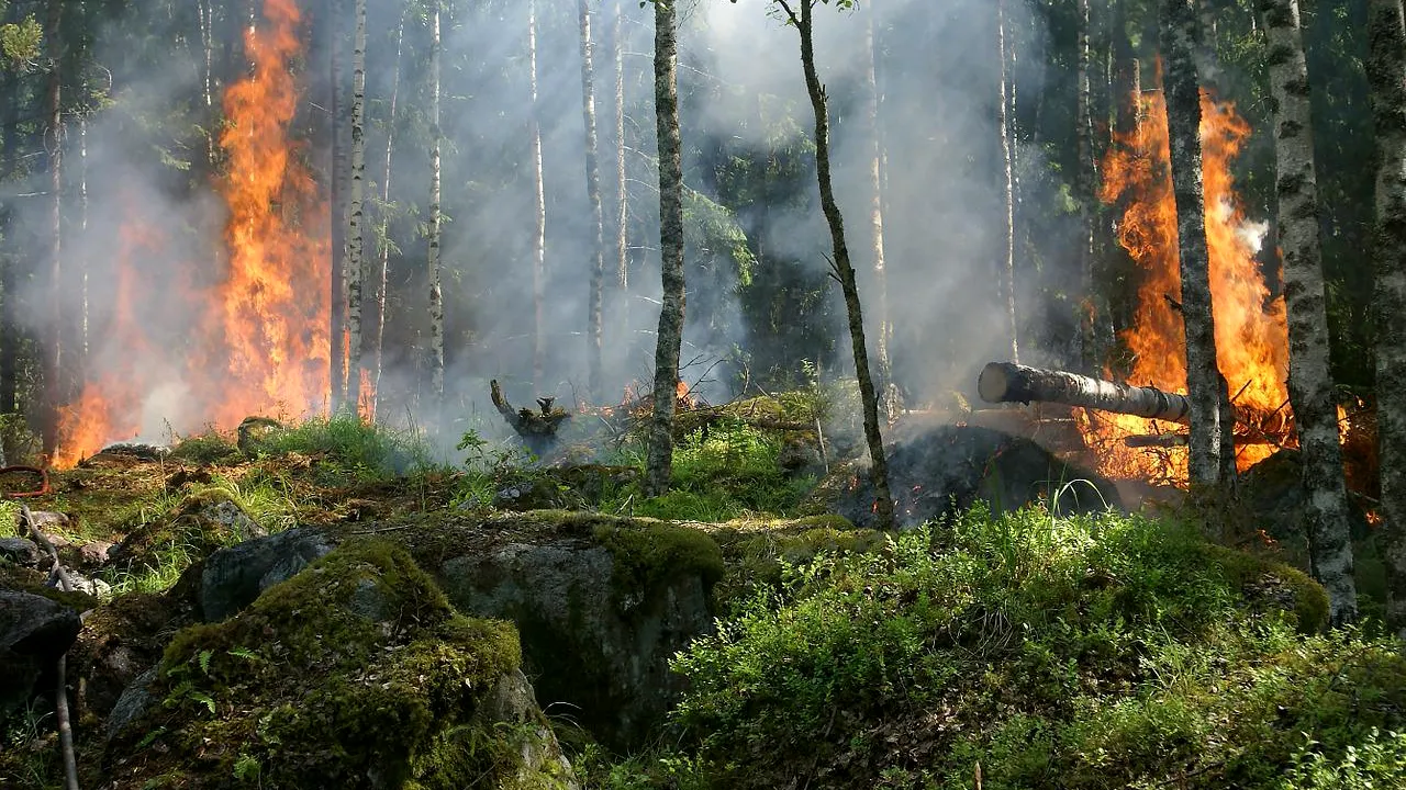 Un german a fost arestat în Spania pentru că a provocat intenționat șapte incendii de vegetație