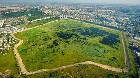 Grupul de Inițiativă pentru Parcul Natural Văcărești: 
