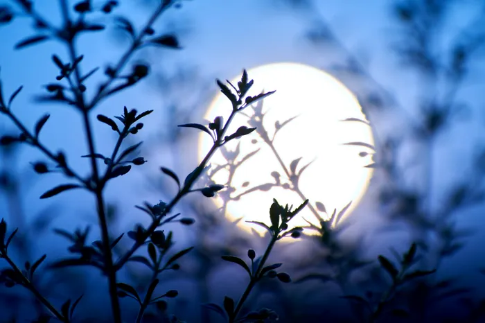 foto ilustrativa: sursa foto: Envato