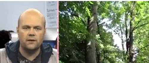 Doi copii din Bârlad au ajuns la spital, după ce au fost loviți de crengile căzute în timpul curățării copacilor