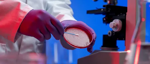 Celule sușă umane, create în premieră prin clonare