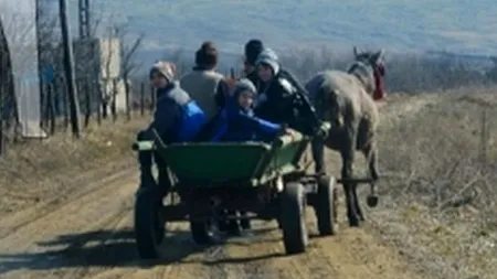 Într-un sat din Botoșani cu microbuz, copiii vin de la școală cu căruța. „Iaca așa-i chinuie în democrație