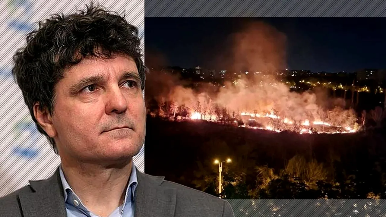 Amenda de 35 de milioane de euro pentru devastarea parcului IOR, atacată de proprietara Cocoru. Nicușor Dan va riposta în instanță