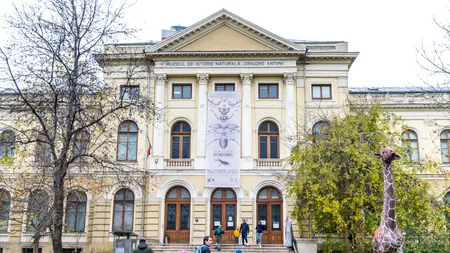 DECIZIE. Se redeschide Muzeul Antipa. Ce condiții se impun