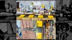 Veterinar fără drept. Un bărbat din Dâmbovița, reținut pentru  schingiuirea animalelor și exercitarea fără drept a unei profesii