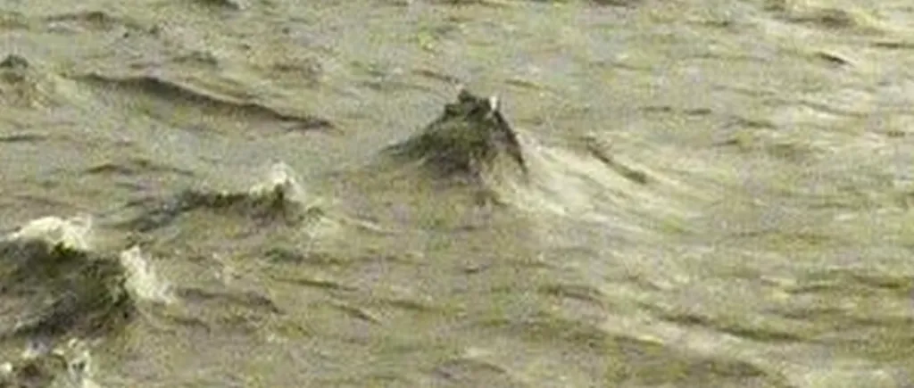 Un cercetător grec susține că l-a ''găsit'' pe monstrul din Loch Ness