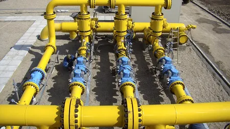 DEZVĂLUIRI. Soția unui fost ministru a cerut ajutor social. Ce companie de stat i-a plătit 19.000 de lei!