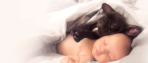 Stăpânii de câini au bebeluși mai sănătoși. Explicația cercetătorilor