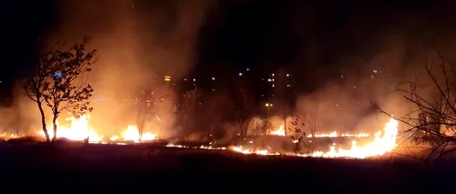 UPDATE | Incendiul din Parcul IOR a fost stins. A fost afectată o suprafață de aproape 4.000 mp