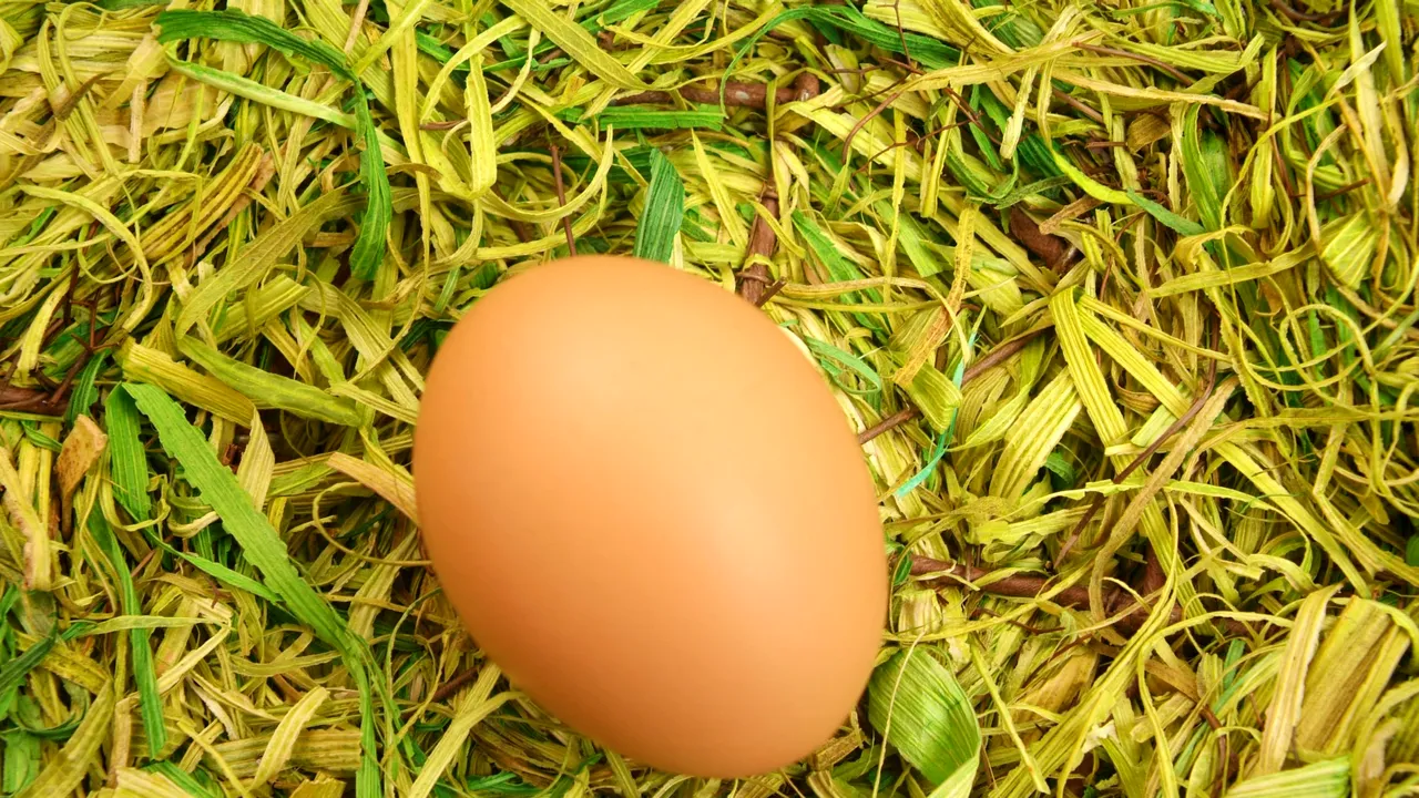 UN OU, regele Instagramului. Fotografia BANALĂ a reușit să depășească poza fiicei lui Kylie Jenner