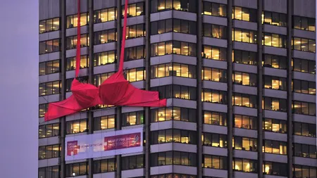 Cel mai mare sutien din lume, vândut cu 3.601 lire sterline