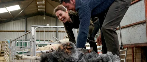 Ducii de Cambridge au trecut la munca de jos. Cei doi au tuns oi la o stână: Oaia nu e mulțumită - VIDEO / FOTO