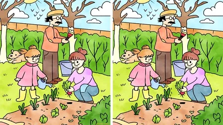 TEST IQ | Găsiți toate cele 5 diferențe dintre aceste două imagini