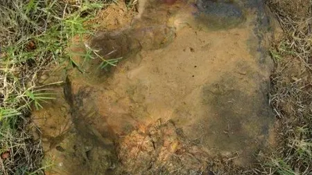 Descoperirea  pe care angajații NASA au făcut-o chiar în curtea Agenției. VIDEO