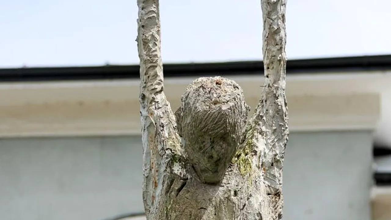 Închisoarea de la PITEȘTI și Mănăstirea ARGEȘULUI propuse ca obiective UNESCO: O carte de ISTORIE pentru tinerii din toată LUMEA...