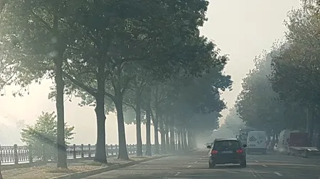 FOTO / VIDEO Alertă în Capitală: Trafic restricționat pe Splaiul Unirii din cauza unui incendiu de vegetație