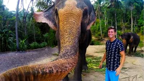 Fotografia săptămânii: un elefant a furat telefonul unui turist și și-a făcut un selfie