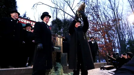 VIDEO. Americanii, supărați pe marmota Phil pentru că a greșit prognoza meteo. Pedeapsa animalului