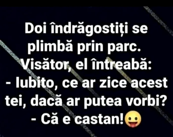 BANCUL ZILEI „Iubito, ce ar zice acest tei dacă ar putea vorbi”