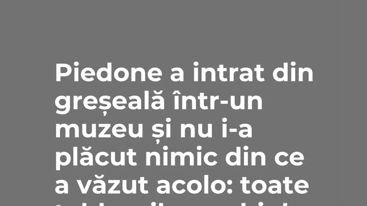 BANCUL ZILEI | Piedone a intrat din greșeală într-un muzeu