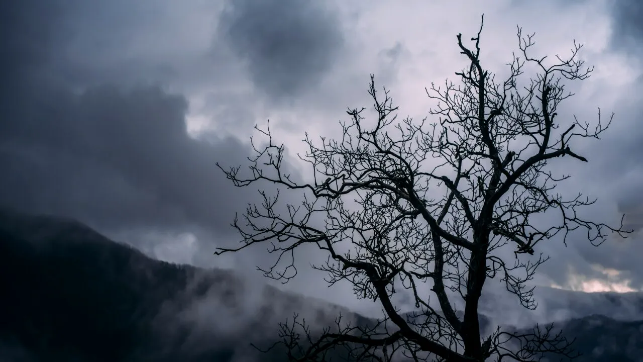 Prognoza meteo până la jumătatea lunii noiembrie. Când vine iarna în România