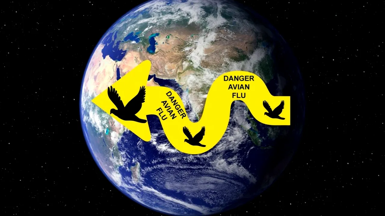 Gripa aviară evoluează ALARMANT în Asia. ONU preconizează noi MUTAȚII periculoase ale virusului