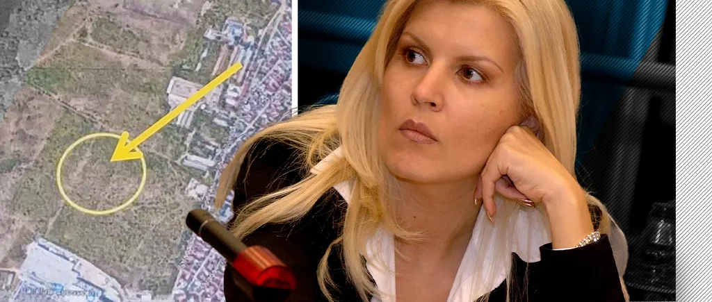 ANAF scoate la licitație mai multe terenuri ale Elenei Udrea, din Sectorul 1. Ce sumă vrea să recupereze Fiscul prin executarea fostului ministru