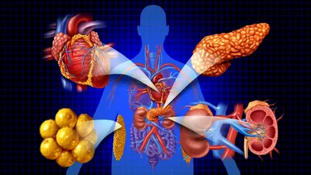 (P) Importanța analizelor în diagnosticarea bolilor metabolice și cardiovasculare