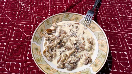Tocăniță de ciuperci după o REȚETĂ de acum 100 de ani. Vezi cum gătesc sătenii din Dealu Negru, Cluj
