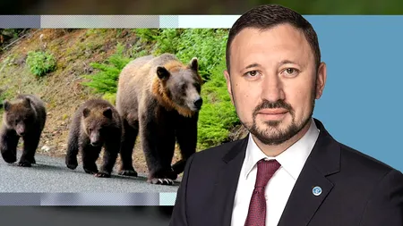 Fechet a nominalizat cei 220 de urși pentru execuție. Academia Română analizează candidaturile