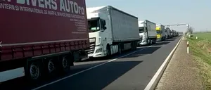 Leguma cultivată în România, care se VINDE foarte bine în străinătate. TIR-uri din Polonia, Ungaria și Austria stau la coadă pentru a încărca marfa