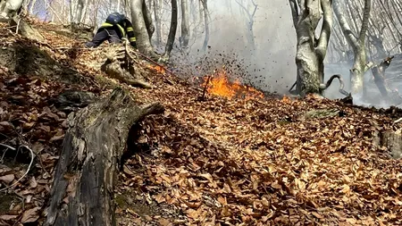 Arde pădurea Boișoara din Vâlcea. Pompierii au cerut ajutorul aviației pentru elicoptere