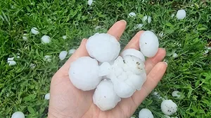 GRINDINĂ de mărimea unei mingi de ping-pong, în județul Dâmbovița. Mai multe livezi și grădini au fost distruse de proiectilele de gheață