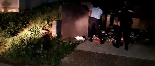 O ursoaică venită în oraș să caute mâncare pentru trei pui, blocată într-un container de gunoi din Băile Tușnad. Ce s-a întâmplat după intervenția jandarmilor. VIDEO