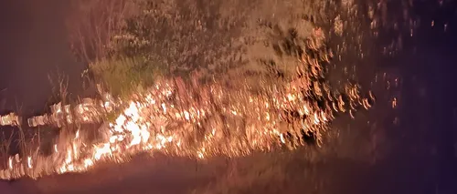 VIDEO | Incendiu de amploare în zona retrocedată din Parcul IOR din București. Flăcările sunt vizibile de la mare distanță