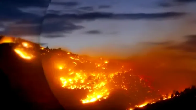 Mii de animale în pericol după ce incendiile de vegetație din Siberia s-au extins pe o suprafață de 963.000 de hectare - VIDEO