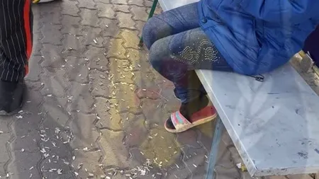 Spărgători de semințe, puși să curețe mizeria. Ce amendă uriașă riscă cei care fac asta - FOTO