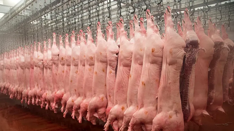 Primul stat din Europa care anunță embargou pe carnea de porc din România