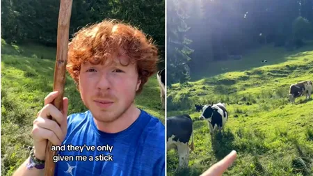 REACȚIA unui turist american în România pe o pajiște plină de vaci: „Mi-au dat doar un băţ, trebuie să ducem vacile acasă”