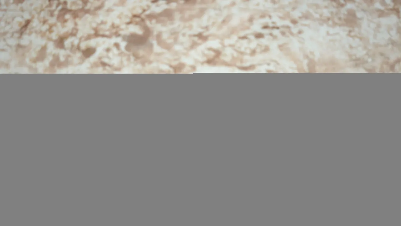 Nu vor reuși să ia oameni din PSD! Dragnea critică „atitudinea de șobolan a doi foști premieri ai partidului