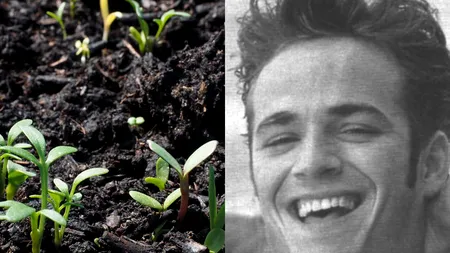 Primul stat care le permite oamenilor să devină „pământ de flori