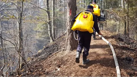 Incendiu de proporții în județul Bacău. Peste o sută de pompierii încearcă de sâmbătă să stingă focul. Ce obiecte au găsit pirotehniștii la fața locului