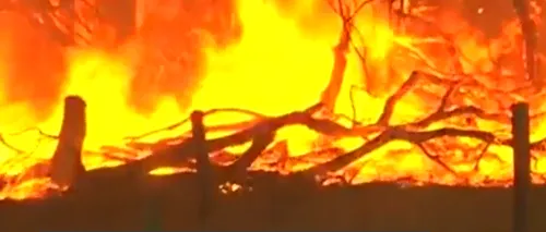 Un oraș din vestul Australiei, distrus de un uriaș incendiu de vegetație
