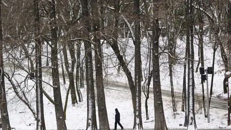 Vortexul polar paralizează România în februarie. Zonele vizate de ger năprasnic