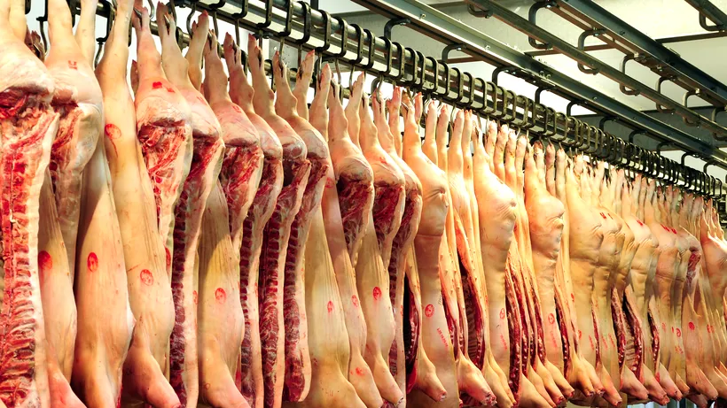 PERICOL. Alertă alimentară! Criza cărnii de porc lovește America! De ce este și România în pericol