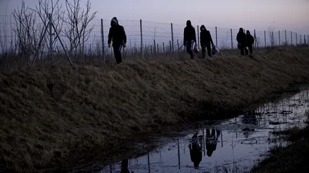 Serbia critică dur planul Ungariei de construire a gardului la frontieră, cerând intervenția UE