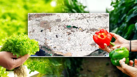 „Marea de plastic” din Spania sau Grădina de legume a Europei. Zeci de mii de hectare de sere se văd din spațiu. Aduc aminte de agricultura comunistă