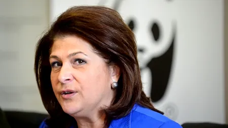 Rovana Plumb: Va fi eliberat mandatul pentru prinderea ursului care a atacat localnici în Dâmbovița