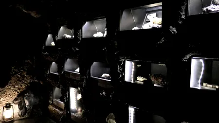 Comoara ascunsă în subsolul unui muzeu din Iași! Cum au descoperit-o elevii unei școli din apropiere