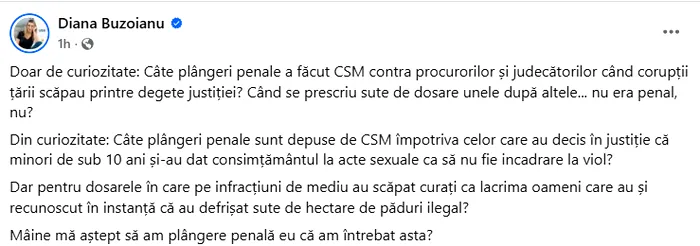 Diana Buzoianu, ministrul Mediului, atacă Consiliul Superior al Magistraturii, pentru plângerea penală depusă împotriva vicepreședintelui Oana Gheorghiu (foto: captură Facebook)